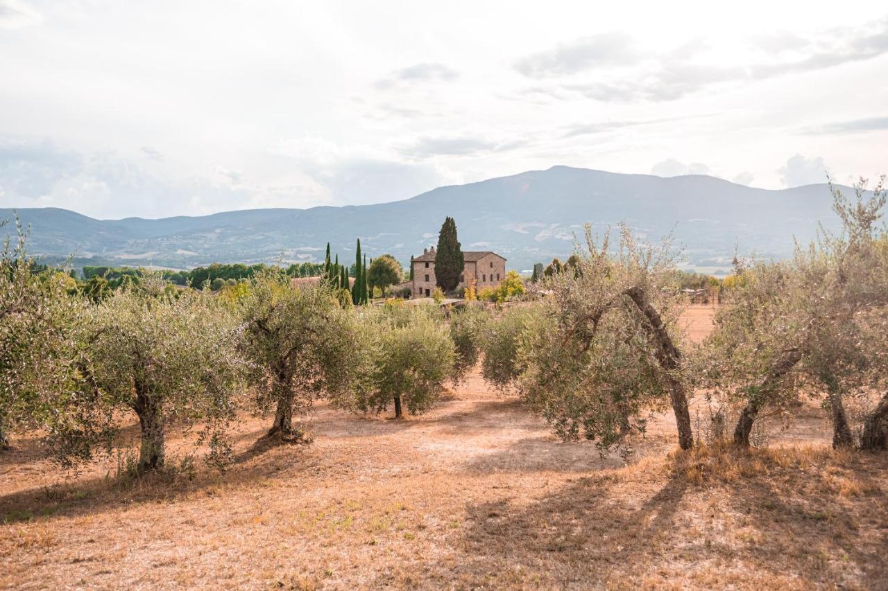 San Carlo A La Molinella Città della Pieve Exterior foto
