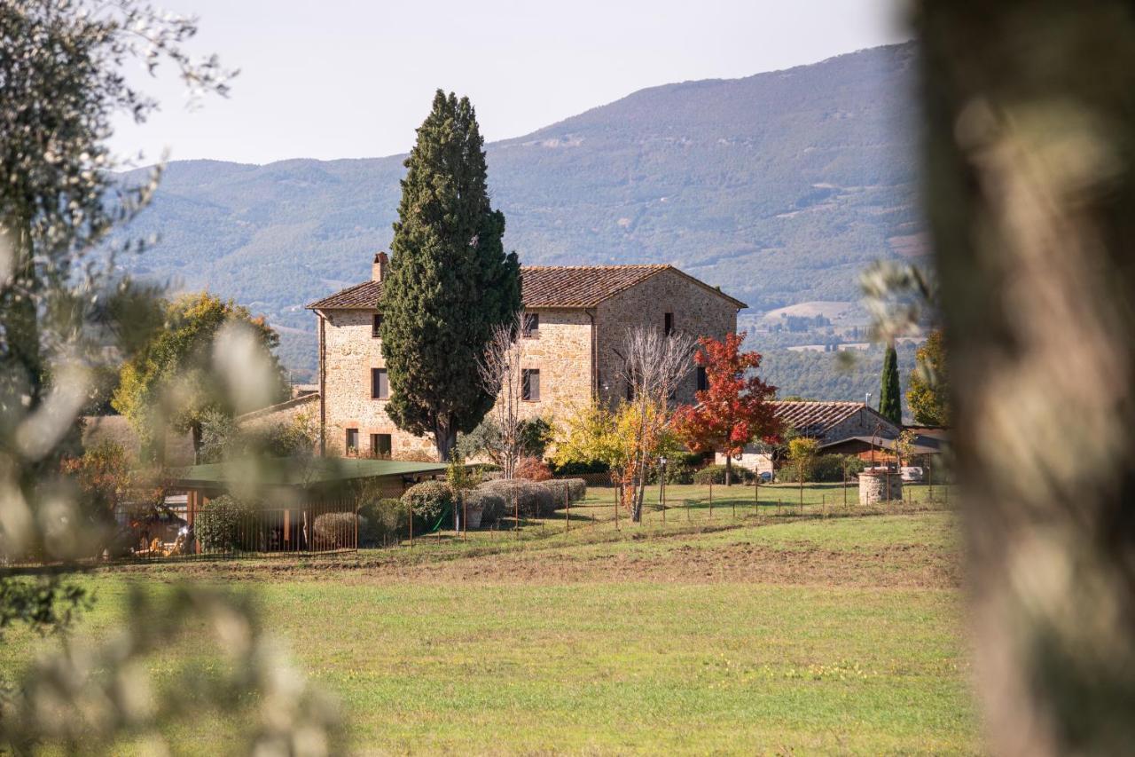 San Carlo A La Molinella Città della Pieve Exterior foto